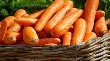 Transformation des légumes biologiques