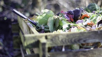 Biodynamie et autres conduites alternatives