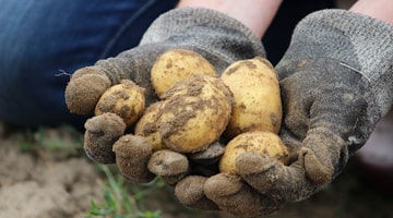 Le projet de conversion, parcours à l’installation en agriculture biologique