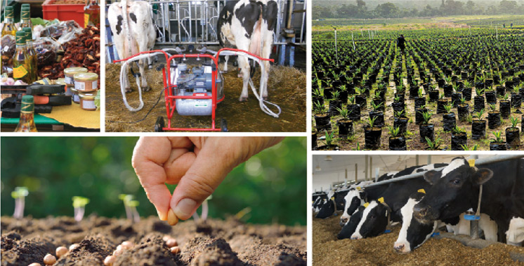 Action préparatoire aux métiers de l’agriculture